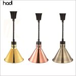 Food Warmer Lamp Manufacturer - High Quality 250W Electric Hanging Lamp