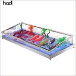 Ice Bucket Manufacturer - Commercial Sea Food Acrylic Plastic Led Cooler