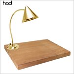 Food Heat Lamp Manufacturer - Electric Colorful Buffet Food Warmer Lamp