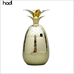Pineapple Tumbler Manufacturer - HADI Factory Direct Bronze with Lid