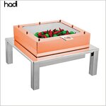 Chafing Dish Manufacturer - Luxury Arabic Dubai Wedding Gold Dome