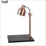Food Warming Lamp Manufacturer - Hot Sale Gold Double Tanks Heat Lamp