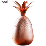 Pineapple Tumbler Manufacturer - HADI Factory Direct Bronze with Lid