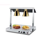 Carving Station Manufacturer - Stainless Steel with 2 Lamp 500W Warmer