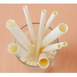 Straw Supplier - Glass Paper Plastic Straws OEM Custom