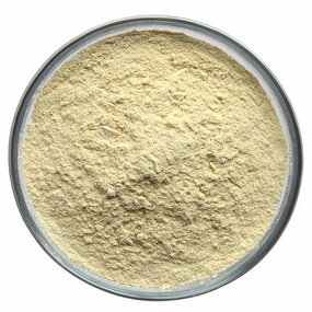 Soy Protein Supplier - Concentrated Protein 9010-10-0