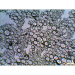 Hollow Glass Microspheres Supplier - Y15000 for Lightweight Material