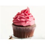 Sweetener Factory - Mizhihuang 60X Powder for Beverage Jelly