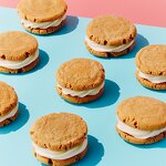 Syrup Concentrate Supplier - Vanilla Cost-Effective for Soft Drinks