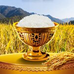 Rice Flavor Supplier - Customized Halal Concentrated Liquid Essence