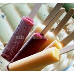 Popsicle Powder Manufacturer - Chocolate Mix for Business Startup