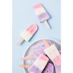 Popsicle Powder Mix Factory - Vanilla DIY Kit Multiple Flavors