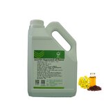 Rapeseed Oil Flavor Factory - Concentrate for Seasonings Biscuits