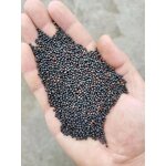 Rapeseed Oil Flavor Factory - Concentrate for Seasonings Biscuits