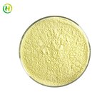 Choline Chloride Supplier - Cas 67-48-1 Bulk Supply