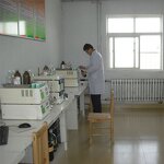 1 1-Carbonyldiimidazole Supplier - 98% 530-62-1