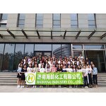 Montmorillonite K10 Supplier - CAS 70131-50-9