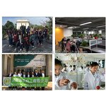 Ammonium Polyphosphate Manufacturer - APP CAS 68333-79-9