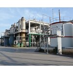 Ethoxyquin Powder Manufacturer - 30% Cas 91-53-2 High Quality