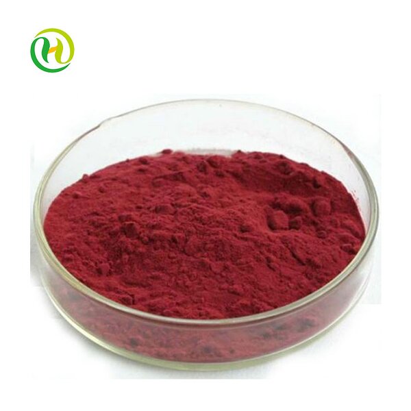 Disperse Red 60 Manufacturer - High Quality Cas 17418-58-5