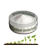 Gibberellic Acid Factory - GA3 90% TC CAS 77-06-5