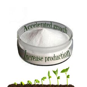 Gibberellic Acid Factory - GA3 90% TC CAS 77-06-5