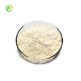 Sodium Alginate Manufacturer - 90% Cas 9005-38-3 Multi-Grade