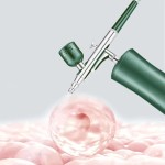 USB可充电高压细雾手持式面部氧气注射器用于家庭使用面部氧气注射器