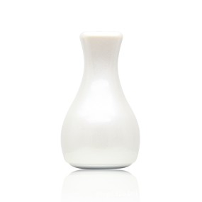 Magic Skin Cooler Tightening Firming Skin Anti Wrinkle Ice Cooler Skin Care Ice Roller Globe , Ice Globe Facial Massager