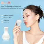 神奇皮肤冷却器紧致紧致皮肤抗皱冰冷却器护肤冰滚轮地球仪，冰地球仪面部按摩器