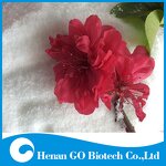 Polyacrylamide Flocculant Manufacturer - OEM/ODM Factory