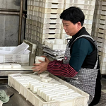 Scent Booster Beads Manufacturer - OEM/ODM Factory