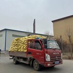 Car Washing Powder Manufacturer - OEM/ODM Factory