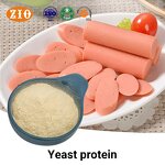 Yeast Protein Isolate Manufacturer - OEM/ODM Factory