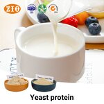 Yeast Protein Isolate Manufacturer - OEM/ODM Factory