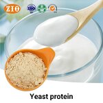 Yeast Protein Powder Manufacturer - OEM/ODM Factory