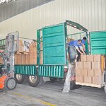 Vitamin C Powder Manufacturer - OEM/ODM Factory