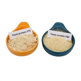 Yeast Protein Powder Manufacturer - OEM/ODM Factory