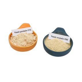Yeast Protein Powder Manufacturer - OEM/ODM Factory