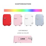 Mini Cooler Manufacturer - 12V Retro Design 4L 6 Cans Portable for Car