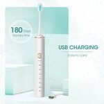 Electric Toothbrush Factory - Adults Soft Bristle Ultrasonic IPX7 Waterproof