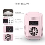 Mini Cooler Manufacturer - 12V Retro Design 4L 6 Cans Portable for Car