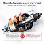 Electric Toothbrush Factory - Adults Soft Bristle Ultrasonic IPX7 Waterproof