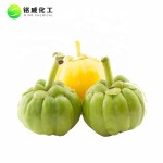Health Supplement Garcinia Cambogia Extract HCA Pure Natural Hydroxycitric Acid Powder