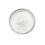 Factory Supply CAS 1094-61-7 Beta Nicotinamide Mononucleotide Nicotinamide Powder NMN Powder