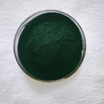 High Protein Supplement Powder Spirulina Organic Spirulina Powder Bulk