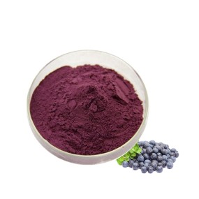 Bulk Pure Natural Blueberry Fruit Freeze Dried Powder FD Blueberry Powder