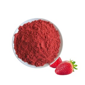 Bulk Freeze Dry Fruit Powder Pure Natural Lyophilized Strawberry Fruit Powder