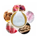 Bulk food supplement chicory extract inulin chicory root extract inulin powder
