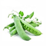 Bulk Hydrolyzed Pea Protein Wholesale Pea Protein Powder 25kg